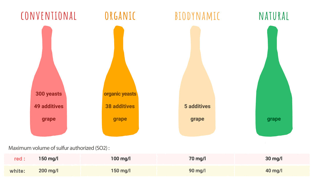 Natural Wine Explained